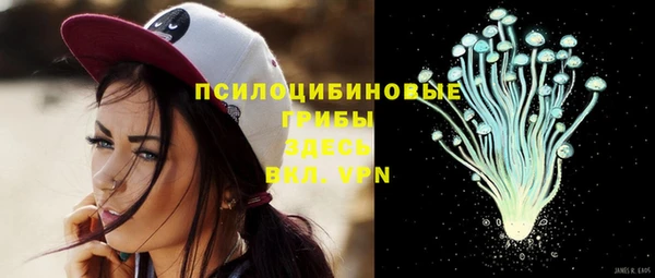 прущие грибы Заводоуковск