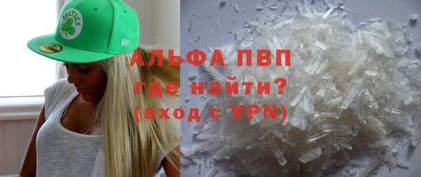 прущие грибы Заводоуковск