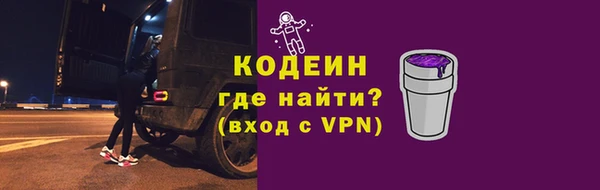 прущие грибы Заводоуковск
