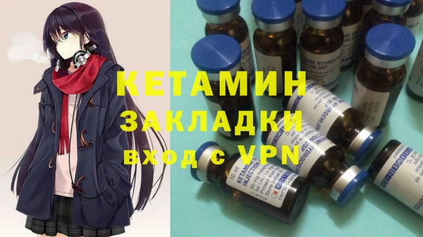 прущие грибы Заводоуковск