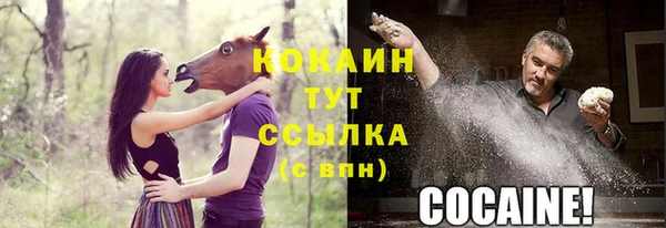 прущие грибы Заводоуковск
