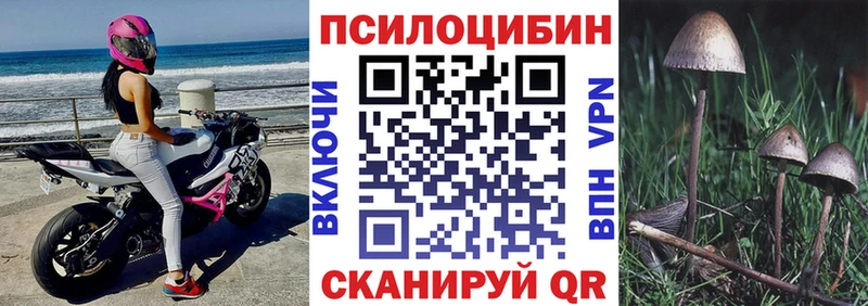 Псилоцибиновые грибы ЛСД  дарнет шоп  Зуевка 